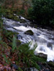 Falls xviii